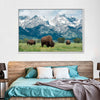 Grazing Teton Bison Wall Art