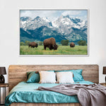 Grazing Teton Bison Wall Art