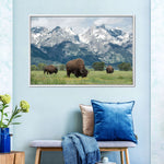 Grazing Teton Bison Wall Art