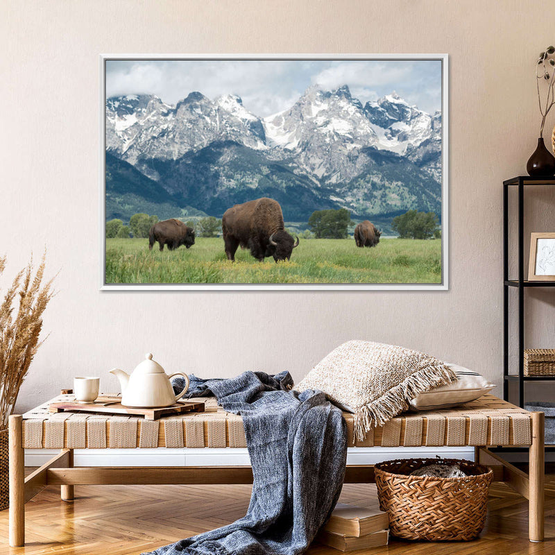 Grazing Teton Bison Wall Art