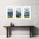 Grazing Teton Bison Wall Art