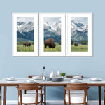 Grazing Teton Bison Wall Art
