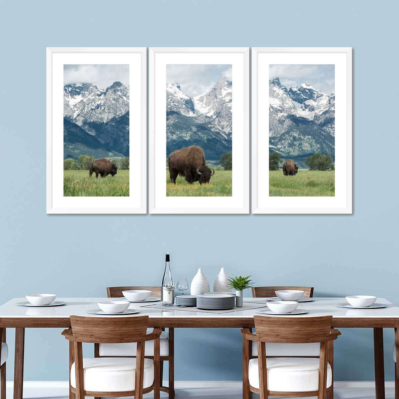 Grazing Teton Bison Wall Art