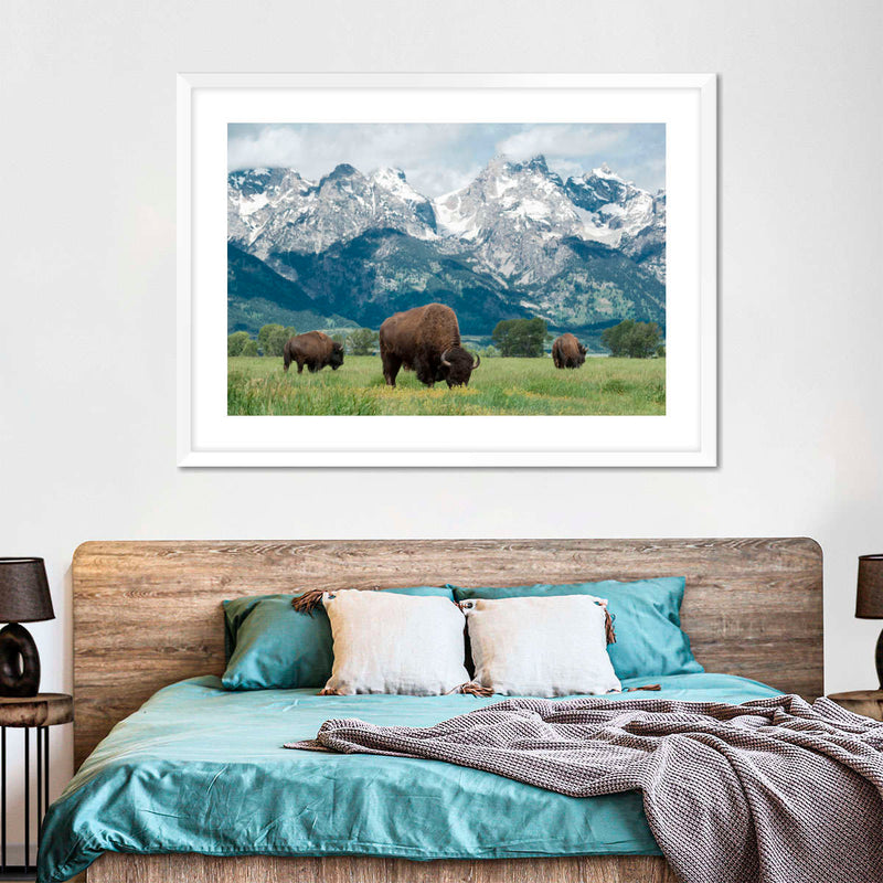 Grazing Teton Bison Wall Art