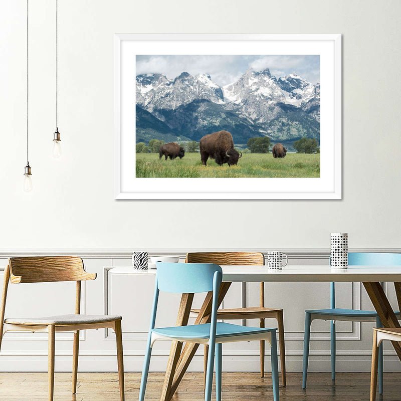 Grazing Teton Bison Wall Art