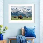 Grazing Teton Bison Wall Art
