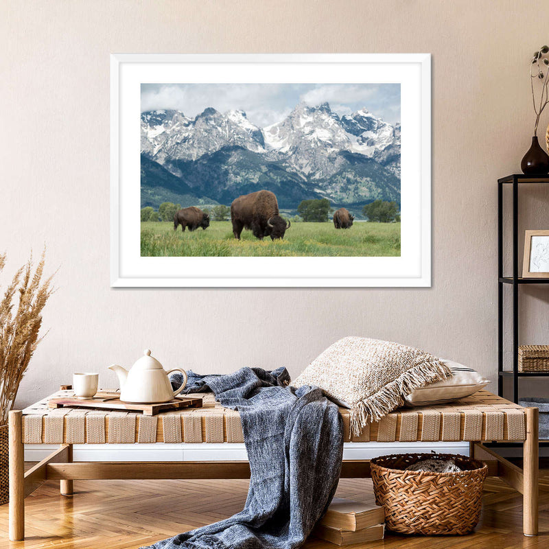 Grazing Teton Bison Wall Art