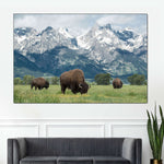 Grazing Teton Bison Wall Art