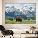 Grazing Teton Bison Wall Art