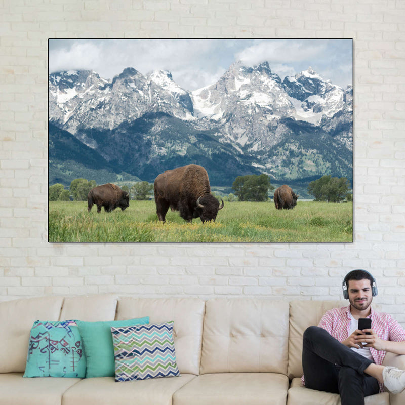 Grazing Teton Bison Wall Art