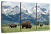 Grazing Teton Bison Wall Art
