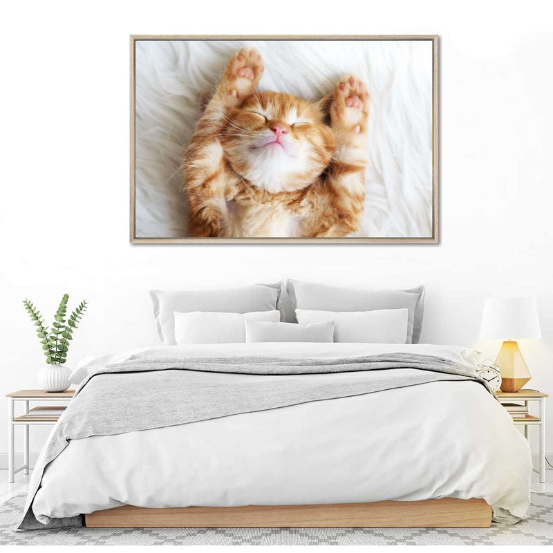Sleepy Kitty Wall Art