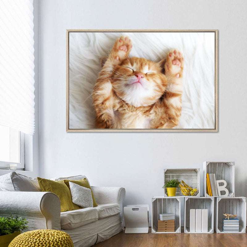 Sleepy Kitty Wall Art