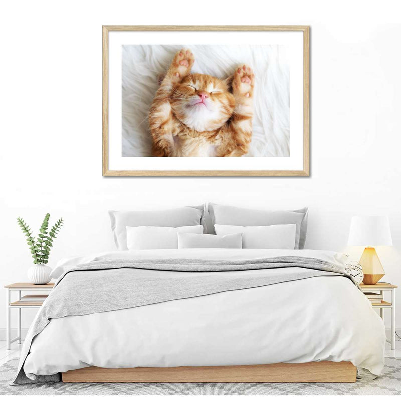 Sleepy Kitty Wall Art