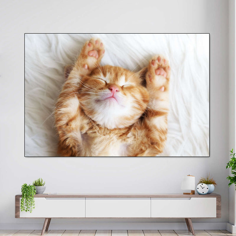 Sleepy Kitty Wall Art
