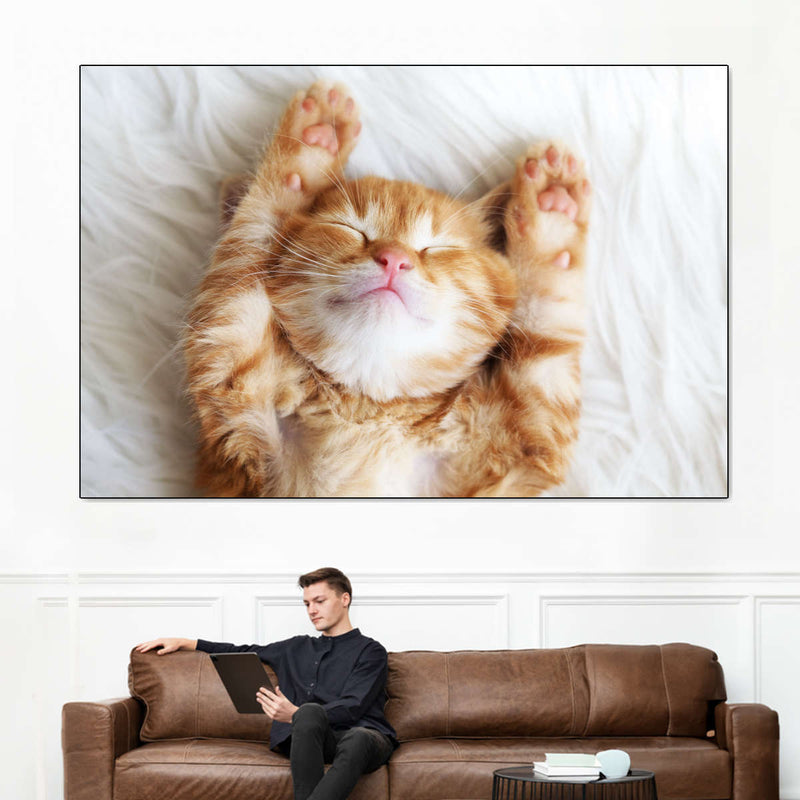 Sleepy Kitty Wall Art