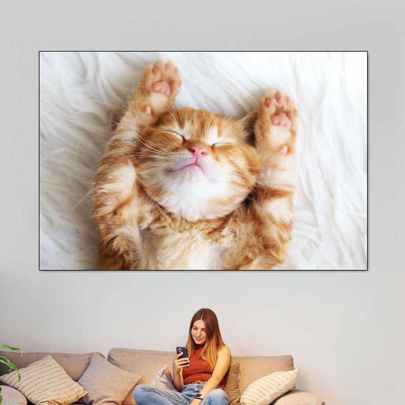 Sleepy Kitty Wall Art