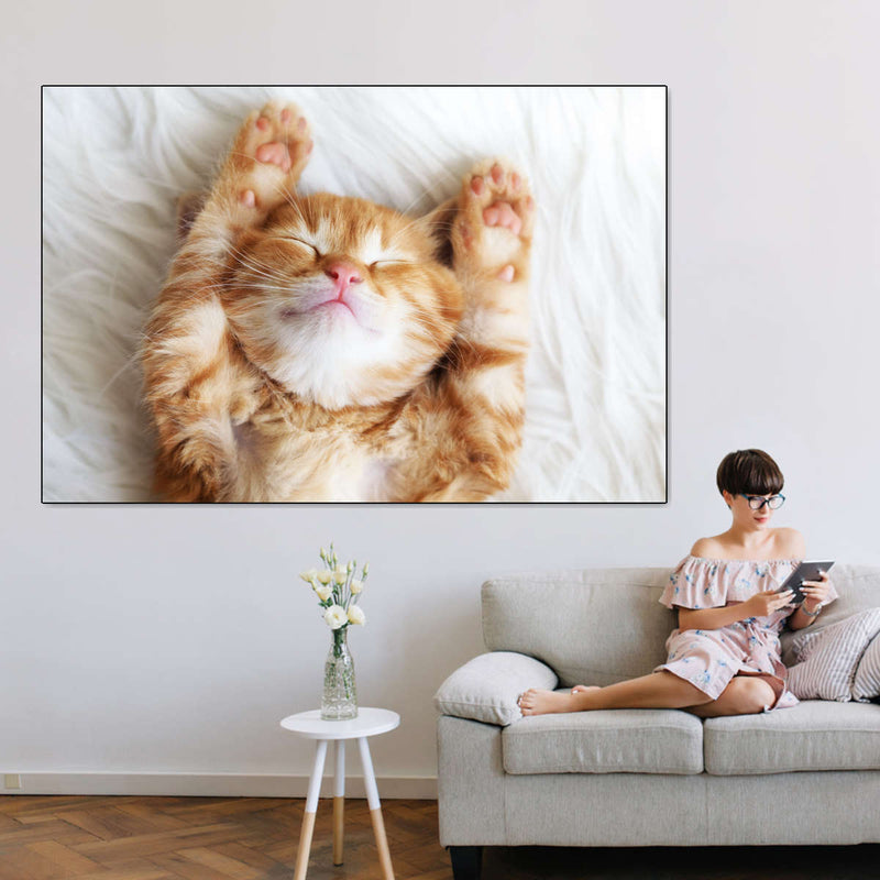 Sleepy Kitty Wall Art