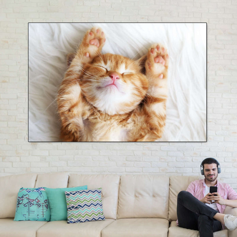 Sleepy Kitty Wall Art