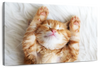 Sleepy Kitty Wall Art