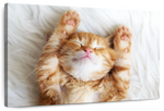 Sleepy Kitty Wall Art