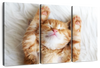 Sleepy Kitty Wall Art