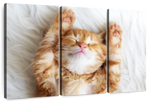 Sleepy Kitty Wall Art