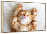 Sleepy Kitty Wall Art