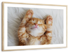 Sleepy Kitty Wall Art