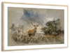 Vintage Stag Wall Art