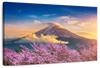 Mount Fuji Wall Art