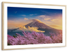 Mount Fuji Wall Art