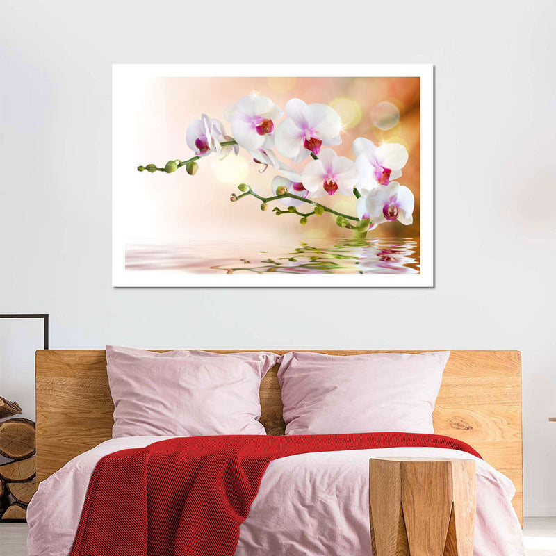Orchid Flowers On Water Wall Art