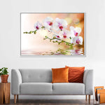Orchid Flowers On Water Wall Art