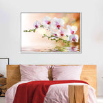 Orchid Flowers On Water Wall Art