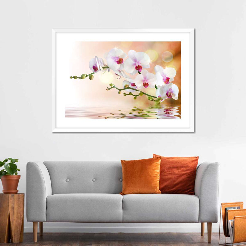 Orchid Flowers On Water Wall Art