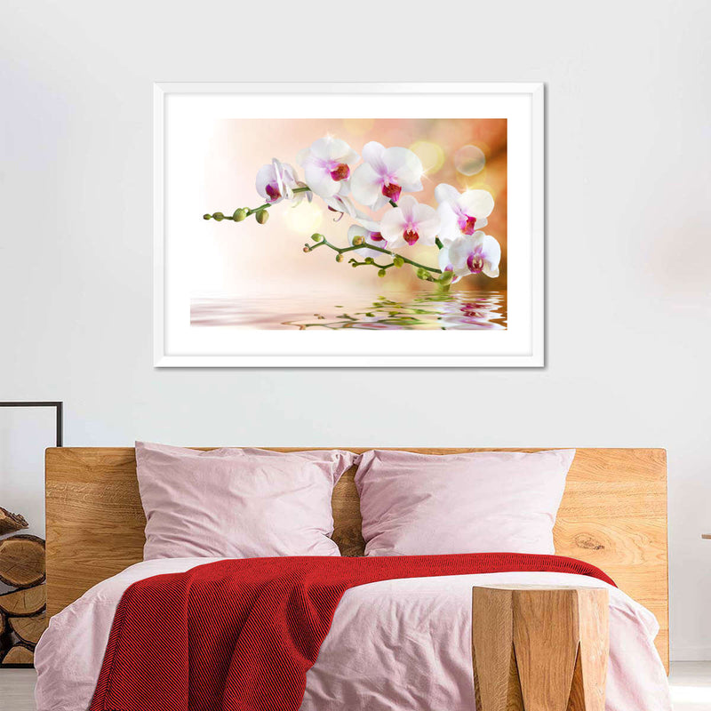Orchid Flowers On Water Wall Art