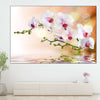 Orchid Flowers On Water Wall Art