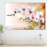 Orchid Flowers On Water Wall Art
