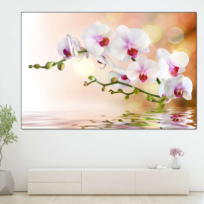 Orchid Flowers On Water Wall Art