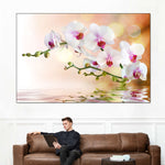 Orchid Flowers On Water Wall Art