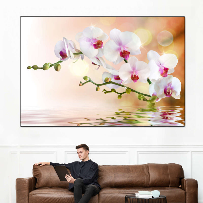 Orchid Flowers On Water Wall Art