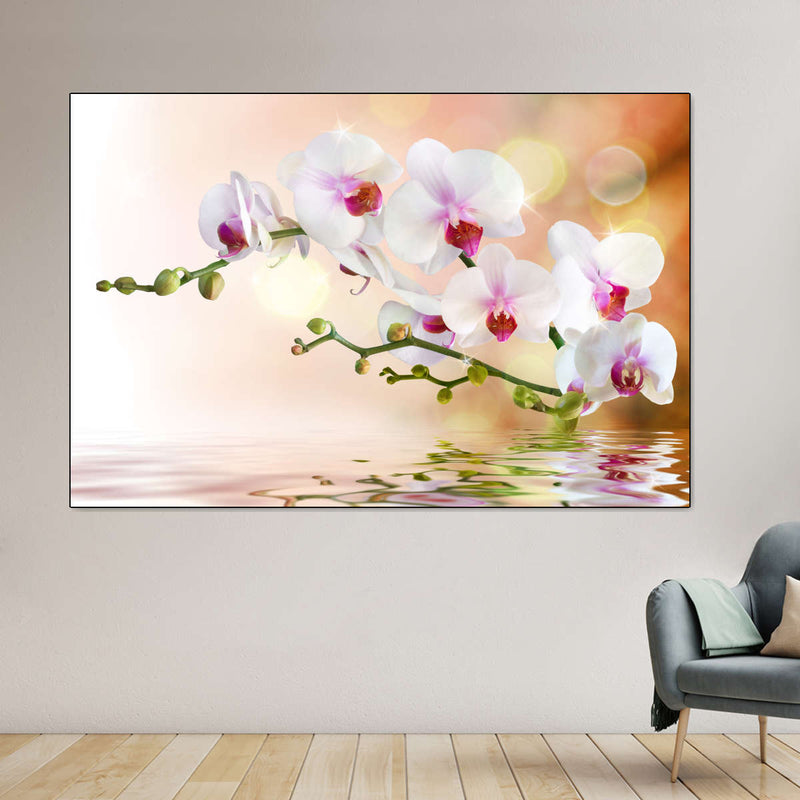Orchid Flowers On Water Wall Art