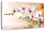 Orchid Flowers On Water Wall Art