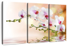 Orchid Flowers On Water Wall Art