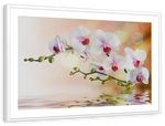 Orchid Flowers On Water Wall Art