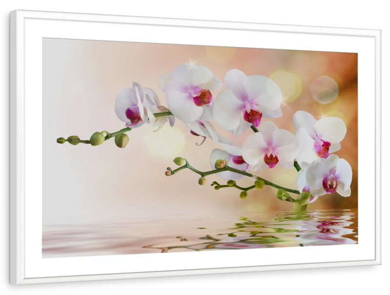 Orchid Flowers On Water Wall Art