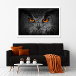 Mesmerizing Gray Owl Wall Art