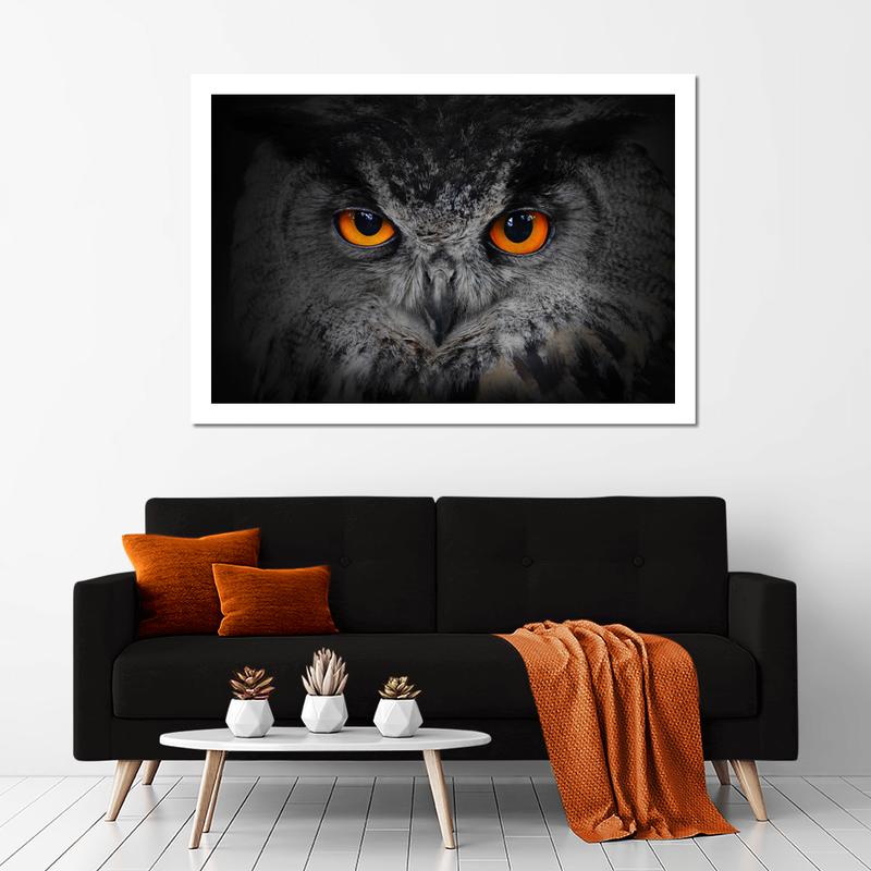 Mesmerizing Gray Owl Wall Art