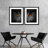 Mesmerizing Gray Owl Wall Art